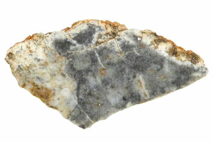 Lunar Meteorite ( g) Slice - Bechar #360543